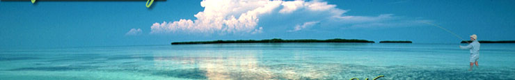 Flats Fishing near Key West Florida.