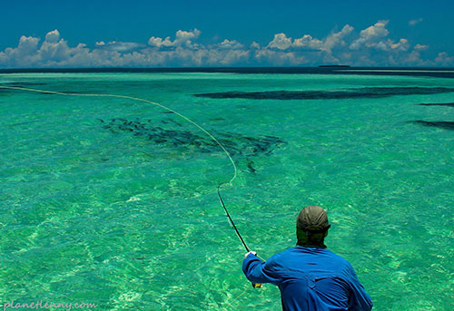 Key West Fly Fishing Guide - Captain Lenny